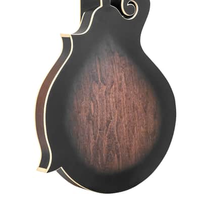 Gold Tone F-6: F-style Mando-Guitar with Pickup and Case image 9