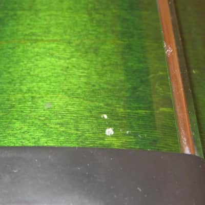 Pearl Session Series 16" (Green Lacquer) Finish Floor Tom. image 11
