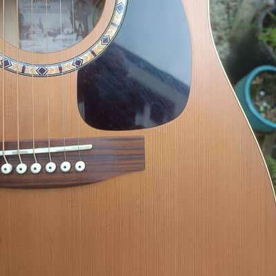 Art & lutherie Cedar 2006 image 14