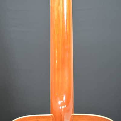 Zager ZAD-50 Dreadnought - Spruce/Mahogany w/ OHSC image 8