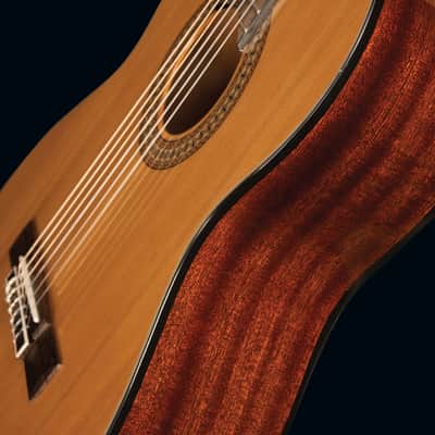 Jasmine JC27 Classical Guitar image 8