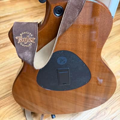 Taylor T-5 2006-2007 - Gold Top image 2