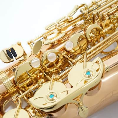 【Special price】 Yanagisawa A-WO2 [AWO2] Professional Alto Saxophone image 10