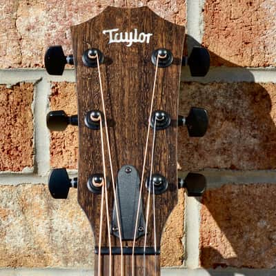 Taylor AD12e-SB image 2