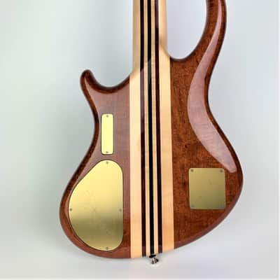 Alembic Rogue 5st. 2008 image 3