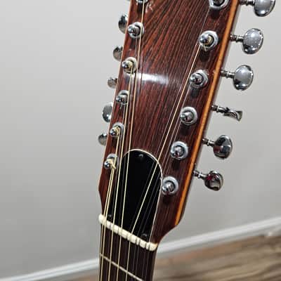 Giannini AWS-680 12 string Acoustic Guitar image 4
