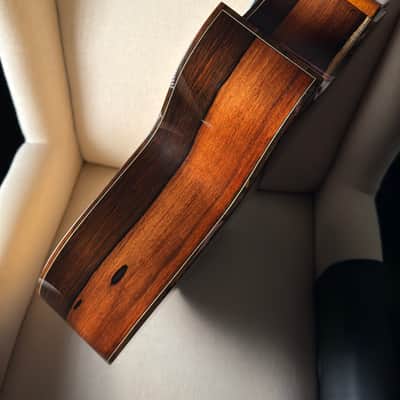 Brian Applegate SJ Fan Fret Multiscale Brazilian Rosewood image 11