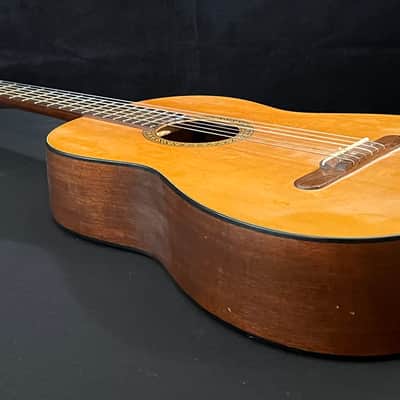 Martin N-10 1968 - 1993 - Natural image 9