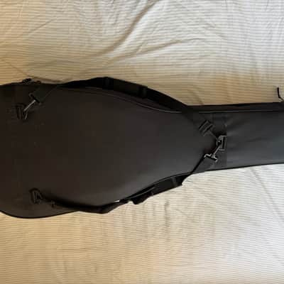 Gator Cassis Semi-rigid case image 3