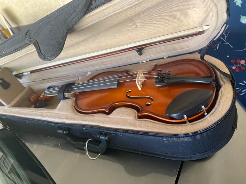 Palatino VN-450-1/2 Allegro Ebony 1/2-Size Violin Outfit with Case, Bow 2010s - Natural image 1