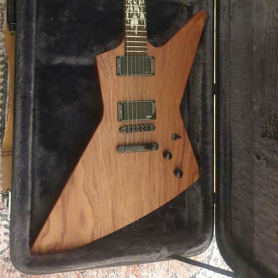 James Hetfield Explorer Custom - Exploding Sun image 3