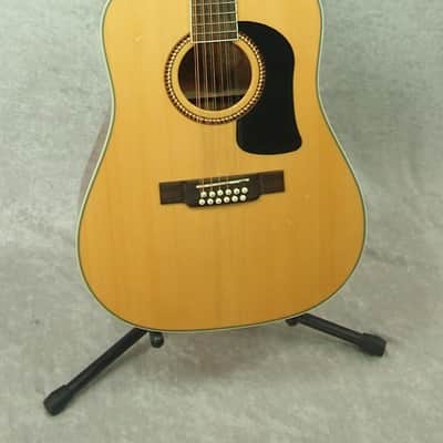 Washburn D10S 12 D-10S12 D 10 S 12 string acoustic guitar image 1