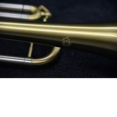 Selmer-Paris Concept TT 2009 - matt gold image 3