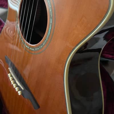 Wechter Nashville Special Elite NV-5413CE Acoustic Guitar Plek'd Fishman OHSC image 17