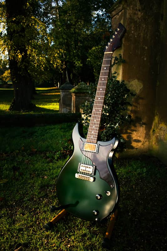 2016 Echopark Arroyo Californian Build - Dean Fertita Model & Spec image 1