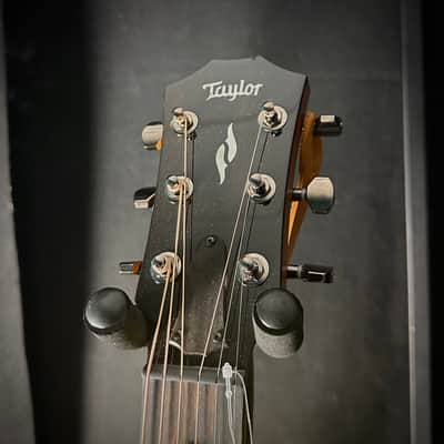 Taylor 811e 2022 in Natural image 4