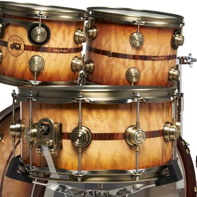 50th Anniversary Limited Edition 6-Piece Drum Shell Pack, Persimmon/Spruce, 2023, Kit #41 of 100 Made image 5
