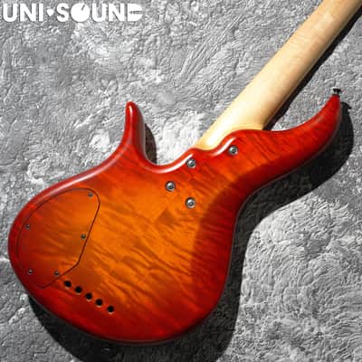 F Bass Alain Caron Signature AC-5 AC5 Fretless image 7