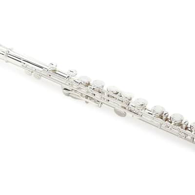 Di Zhao Flutes DZ 100 COA Student Flute with Offset G image 1