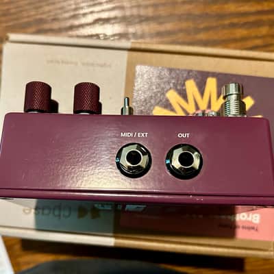 Chase Bliss Audio Brothers AM 2025 - Present - Various image 5