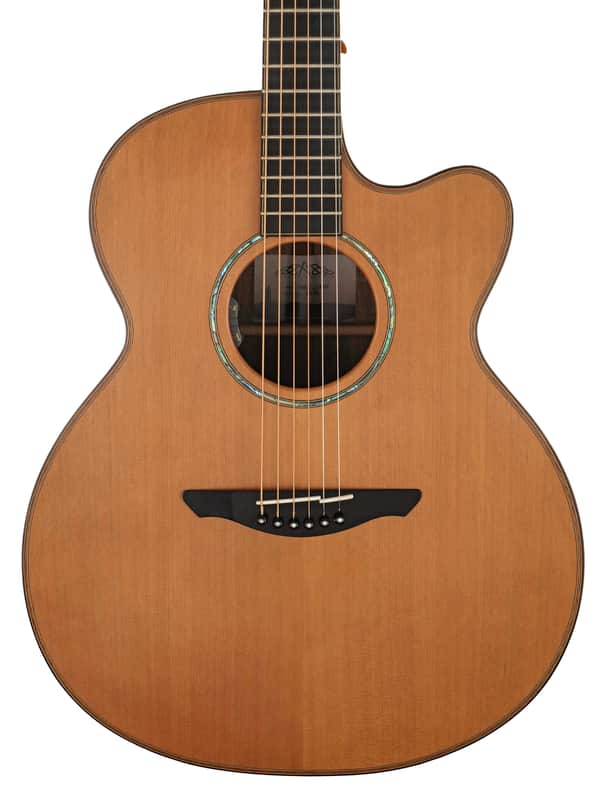Avalon ARDRI L1 350C Guitar #2454 image 1