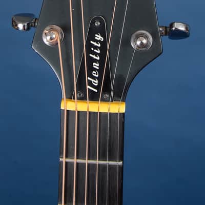 Babicz Identity Spider / 2003-ish / An Innovative Acoustic Electric Option image 4