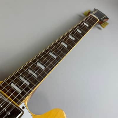 Epiphone CASINO Coupe image 3