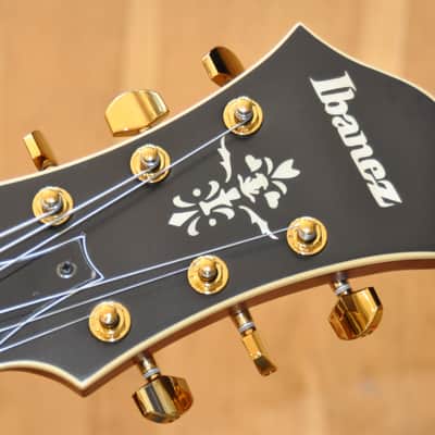 IBANEZ PM3C-NAL Natural Amber Low Gloss Pat Metheny Signature / Jazz Hollow Body / PM3C-NAL / PW25040299 image 8