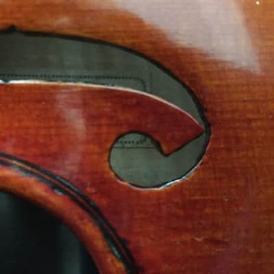 1950 Jago Peternella violin, Venezia image 13