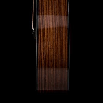 Taylor 210ce Plus #95356 (Demonstration Model) image 7