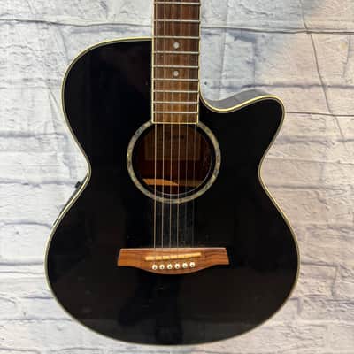 IBANEZ AEG10 (AEG10E, AEG10II) acoustic guitars for sale in USA
