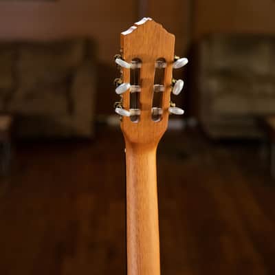 Ortega RCE131SN Family Series Pro Solid Cedar Top Mahogany Neck Cutaway Nylon 6-String Classical Acoustic-Electric Guitar w/Gig Bag image 23