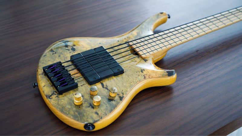 Roscoe Custom SKB 5 Electric Bass image 1