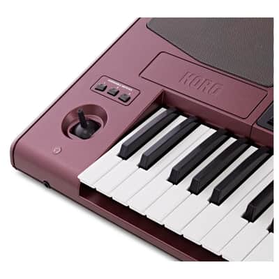 Korg Pa1000 EXDEMO image 5