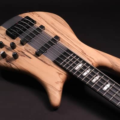 Spector CST limited Edition 2026 - Spalted Maple image 3