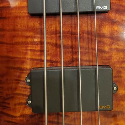 ESP LTD Surveyor-400 2006 - 2007 - Natural image 23
