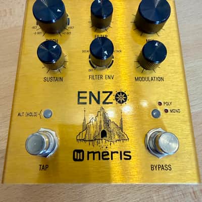 Meris Enzo + MIDI I/O + Yamaha MD-BT01 image 2