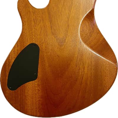 Washburn WMS Custom Shop USA Mahogany Body Set Neck with OHSC 1998 - Natural image 6