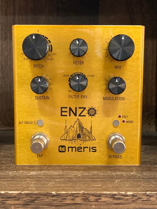 Meris Enzo 2018 - Gold image 1