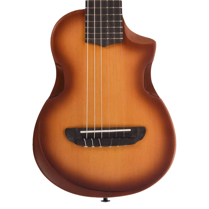 Ibanez AUP10N Tenor Ukulele image 3