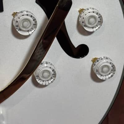 Greg Bennett LaSalle JZ-2 LTD Hollow Body Electric Guitar White Gold Bigsby Korea 2004 w/ Case image 13