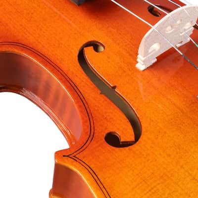 Cxxss Acoustic Violin 4/4 Full Size with Case and Bow Rosin With Case for Xmad Gift image 3