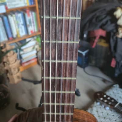 Tokai classical 1970 - lacquered image 8