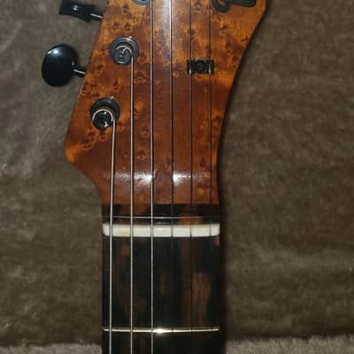 Ayala BastardCaster Custom Tele 2019 Midnight Blue Burst image 2