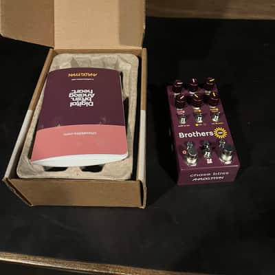 Chase Bliss Audio Brothers AM 2025 - Present - Various image 1