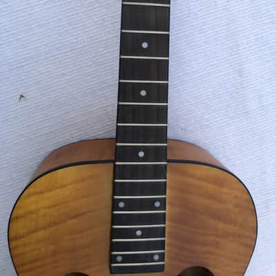 Tiger Maple Top Resonator Dobro Guitar DIY Project, Rosewood Fingerboard Neck image 10