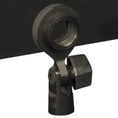 Shure KSM313/NE Dual-Voice Ribbon Microphone with Roswellite Ribbon Technology image 6