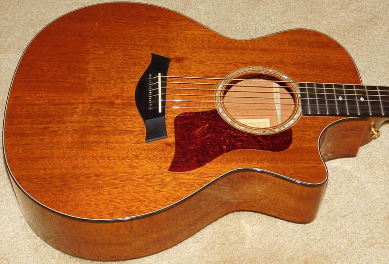 Taylor 514ce-L10 Acoustic/Electric Guitar*Fall Limited Edition