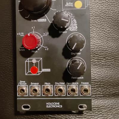 Holocene Electronics Non-Linear Memory Machine Eurorack Module Free Shipping! image 1