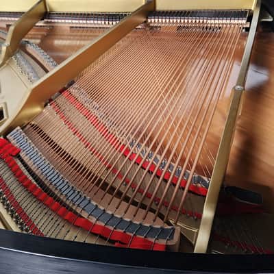 Boston GP163 Satin Ebony 5'4" Baby Grand Piano Mfg 1998 in Japan * Free 1st floor Delivery in NJ! image 10